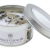 bougie-green-tree-croissance-interieure-pierre-de-lune-menthe-70g
