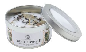 bougie-green-tree-croissance-interieure-pierre-de-lune-menthe-70g