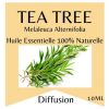2025/01/1000038360.jpg Huile essentielle arbre à thé - tea Tree