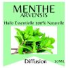 huile essentielle menthe