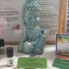 Huile essentielle Menthe