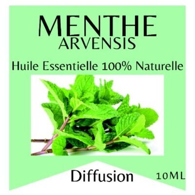 huile essentielle menthe