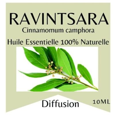 Huile essentielle Ravintsara Huile essentielle Ravintsara