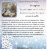 scorpion Bracelet aigue marine -scorpion