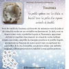Bracelet jade -taureau