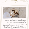 Boucles d'oreilles phase lunaire - œil de tigre