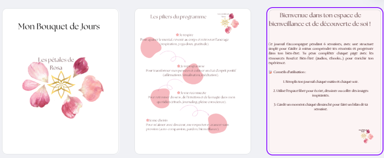 Journal : Mon bouquet de jours - Les pétales de Rosa